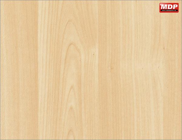 DT Maple - 67cm x 2m