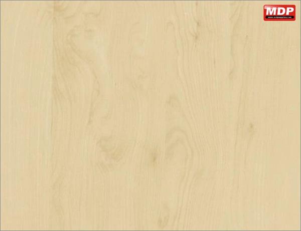 DT Birch - 67cm x 2m