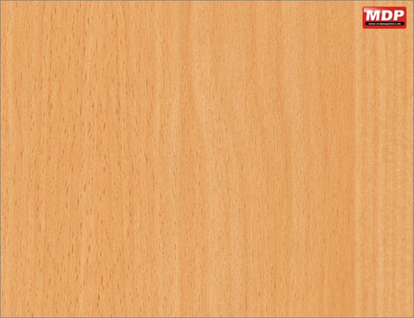 DT European Beech - 67cm x 2m