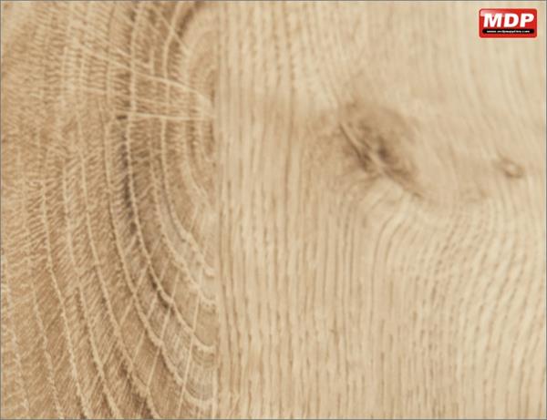 DT Ribbeck Oak - 67cm x 2m