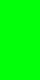 Neon Green (A3)